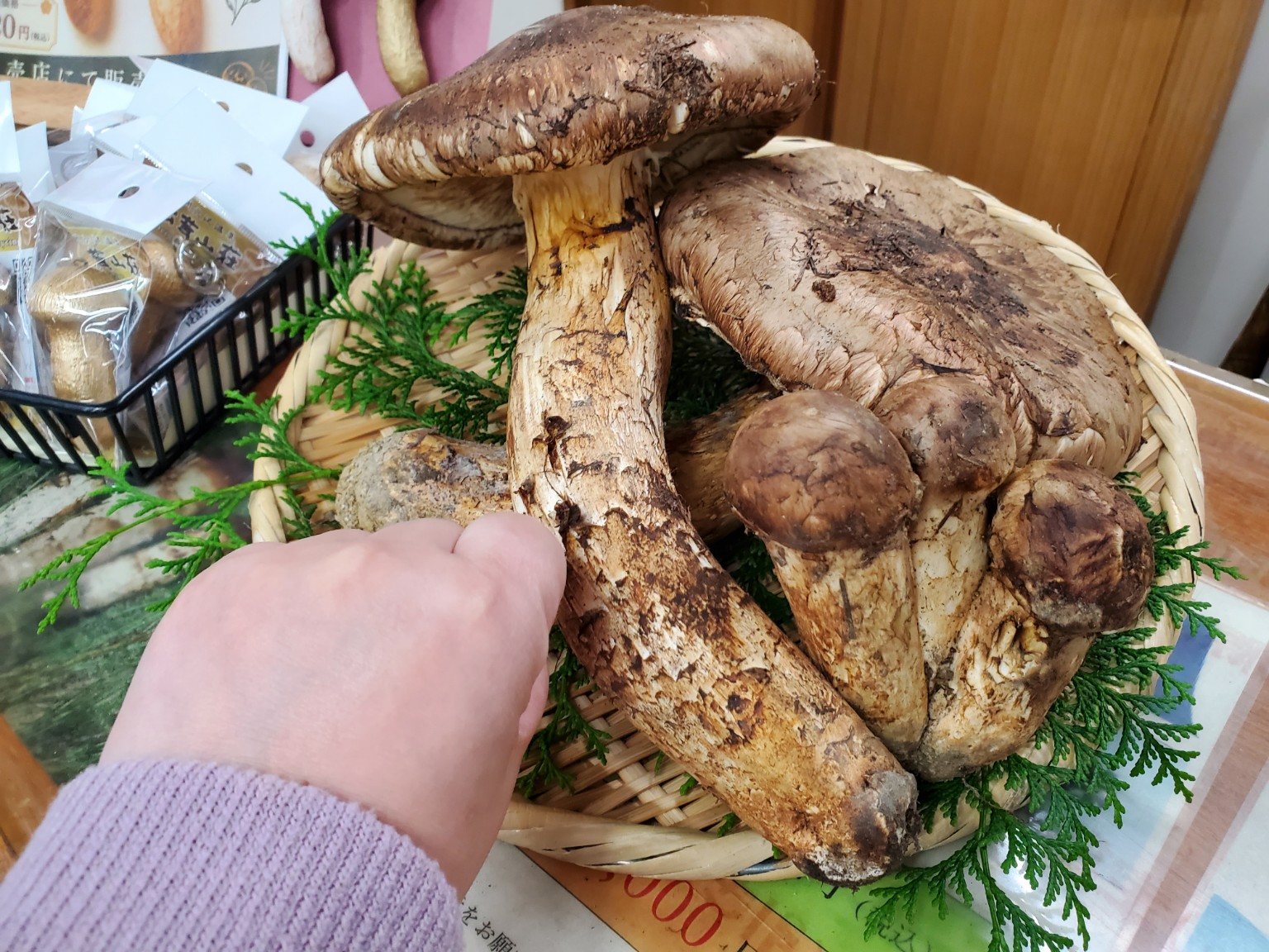 【長野の日帰り温泉】彼は泉質、私は食べ物で覚えていた。穴沢温泉「松茸山荘」